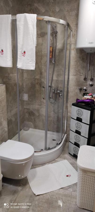 Zlatibor Apartman Jagoda Bagian luar foto