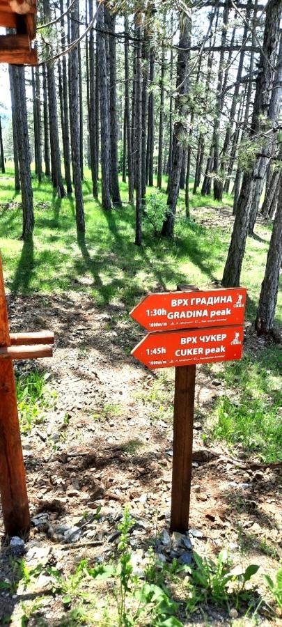 Zlatibor Apartman Jagoda Bagian luar foto